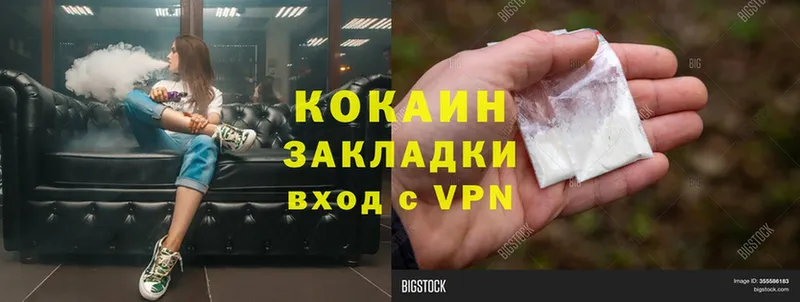 Cocaine Fish Scale  Великий Устюг 