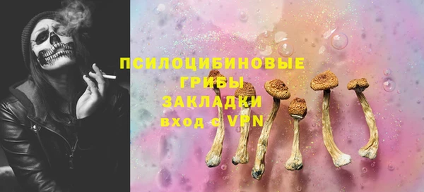 spice Нестеровская