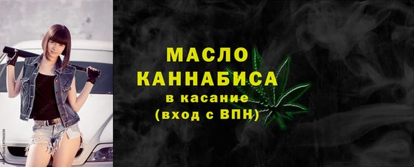 шишки Заволжье