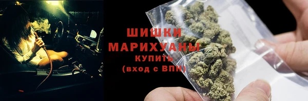 spice Нестеровская