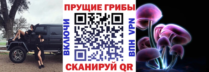 OMG зеркало  Великий Устюг  Псилоцибиновые грибы MAGIC MUSHROOMS 