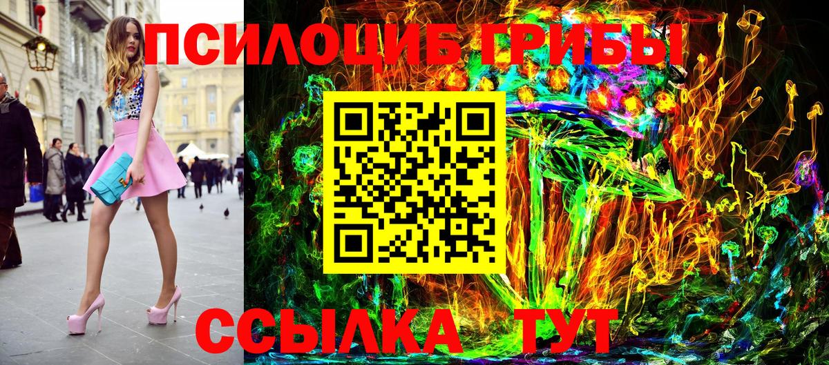 Псилоцибиновые грибы Psilocybe  даркнет сайт  Великий Устюг 