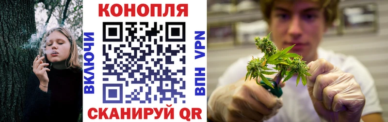 купить   Великий Устюг  блэк спрут ТОР  Бошки марихуана конопля 